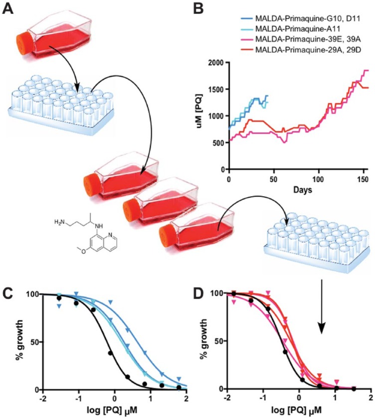 Exploration of the <i>Plasmodium falciparum</i> Resistome and Druggable Genome Reveals New Mechanisms of Drug Resistance and Antimalarial Targets.