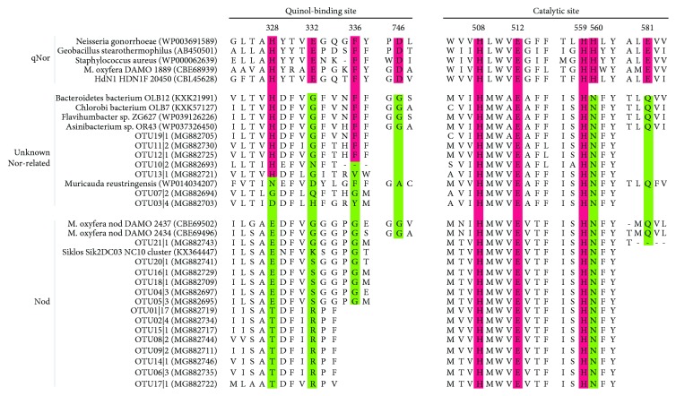 The Occurrence of Putative Nitric Oxide Dismutase (Nod) in an Alpine Wetland with a New Dominant Subcluster and the Potential Ability for a Methane Sink.