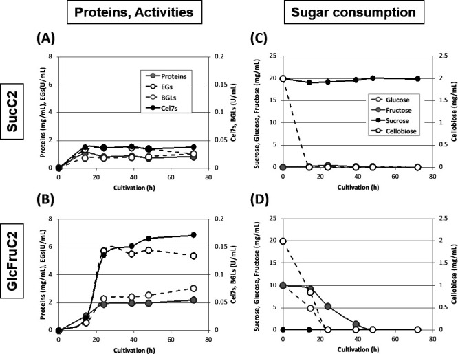 Cellulase Production of <i>Trichoderma reesei</i> (<i>Hypocrea jecorina</i>) by Continuously Fed Cultivation Using Sucrose as Primary Carbon Source.