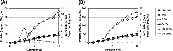 Cellulase Production of <i>Trichoderma reesei</i> (<i>Hypocrea jecorina</i>) by Continuously Fed Cultivation Using Sucrose as Primary Carbon Source.