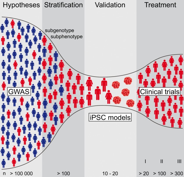 Studying and modulating schizophrenia-associated dysfunctions of oligodendrocytes with patient-specific cell systems.