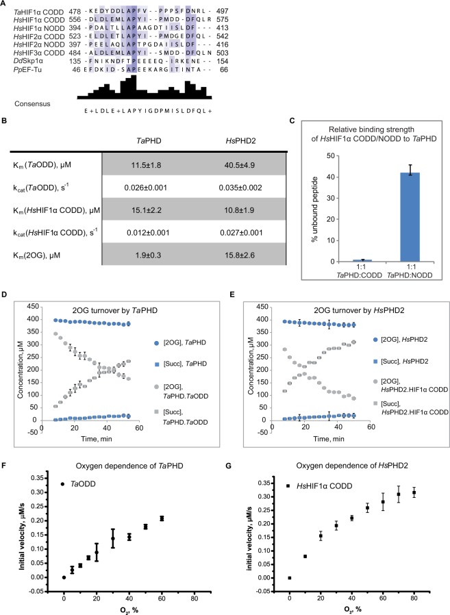 Born to sense: biophysical analyses of the oxygen sensing prolyl hydroxylase from the simplest animal <i>Trichoplax adhaerens</i>.