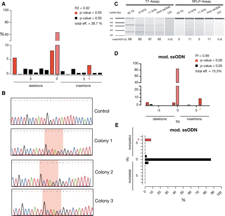 Gene correction of HBB mutations in CD34<sup>+</sup> hematopoietic stem cells using Cas9 mRNA and ssODN donors.