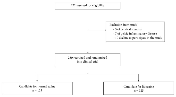 Efficacy of Intrauterine Lidocaine Instillation in Reducing Pain during Endometrial Biopsy by Novak.