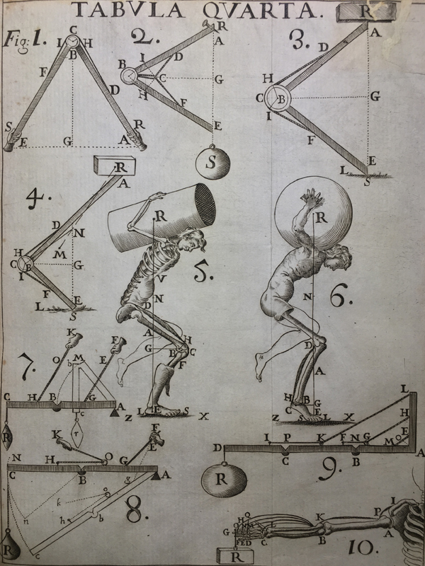 Giovanni Alfonso Borelli: The Precursor of Medial Pivot Concept in Knee Biomechanics.