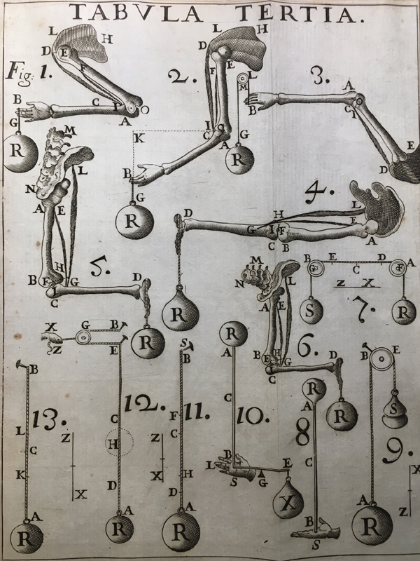 Giovanni Alfonso Borelli: The Precursor of Medial Pivot Concept in Knee Biomechanics.