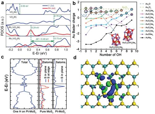 Static Regulation and Dynamic Evolution of Single-Atom Catalysts in ...