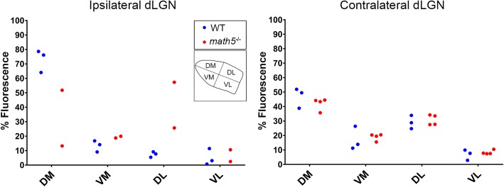 The absence of retinal input disrupts the development of cholinergic brainstem projections in the mouse dorsal lateral geniculate nucleus.