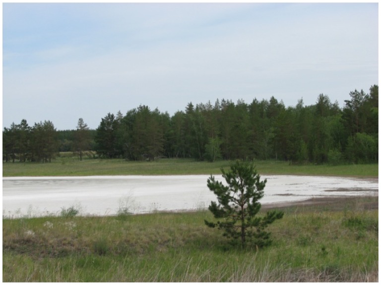 Discovery of Actinomycetes from Extreme Environments with Potential to Produce Novel Antibiotics.