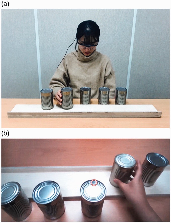 Temporal differences in eye-hand coordination between children and adults during manual action on objects.