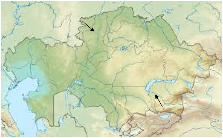 Discovery of Actinomycetes from Extreme Environments with Potential to Produce Novel Antibiotics.