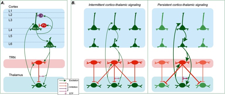 Visual Attention Deficits in Schizophrenia Can Arise From Inhibitory Dysfunction in Thalamus or Cortex.