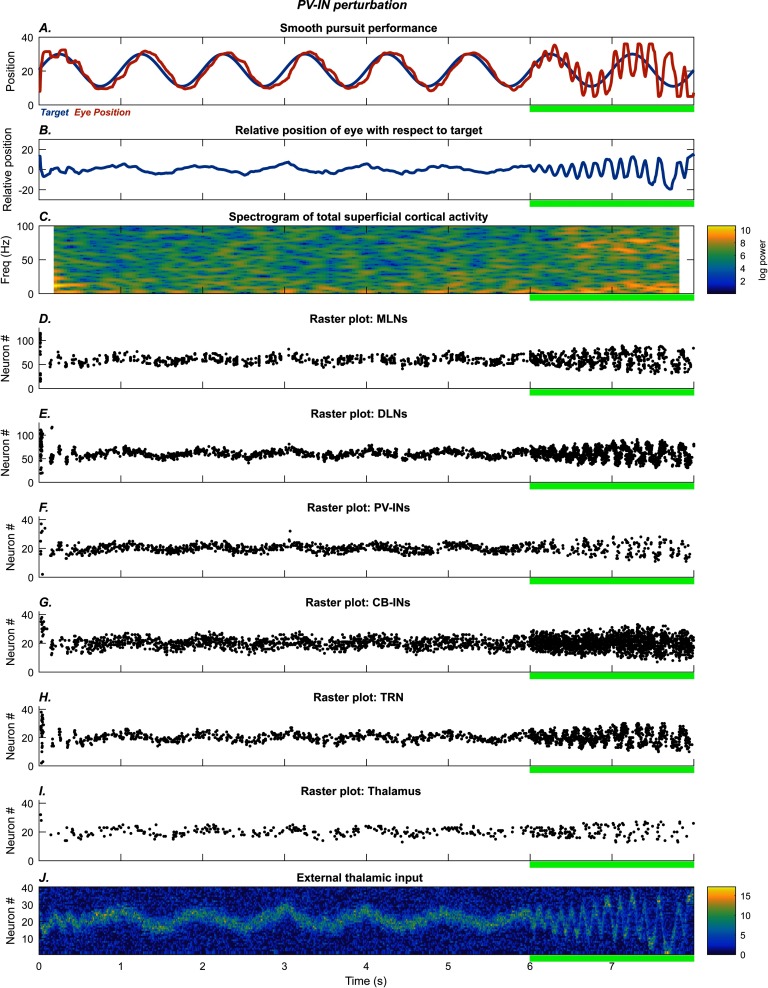 Visual Attention Deficits in Schizophrenia Can Arise From Inhibitory Dysfunction in Thalamus or Cortex.