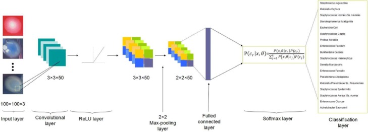 Novel neural network application for bacterial colony classification.