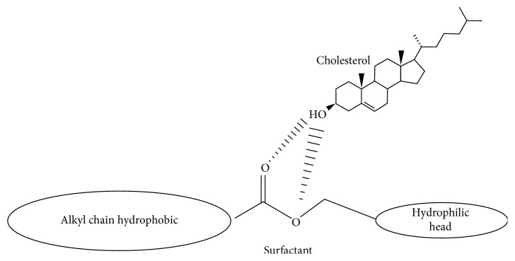 Niosome: A Promising Nanocarrier for Natural Drug Delivery through Blood-Brain Barrier.