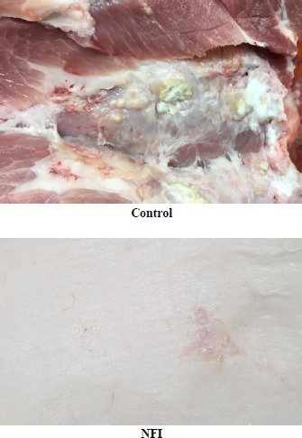 Reduction in Lesion Incidence in Pork Carcass Using Transdermal Needle-free Injection of Foot-and-Mouth Disease Vaccine.