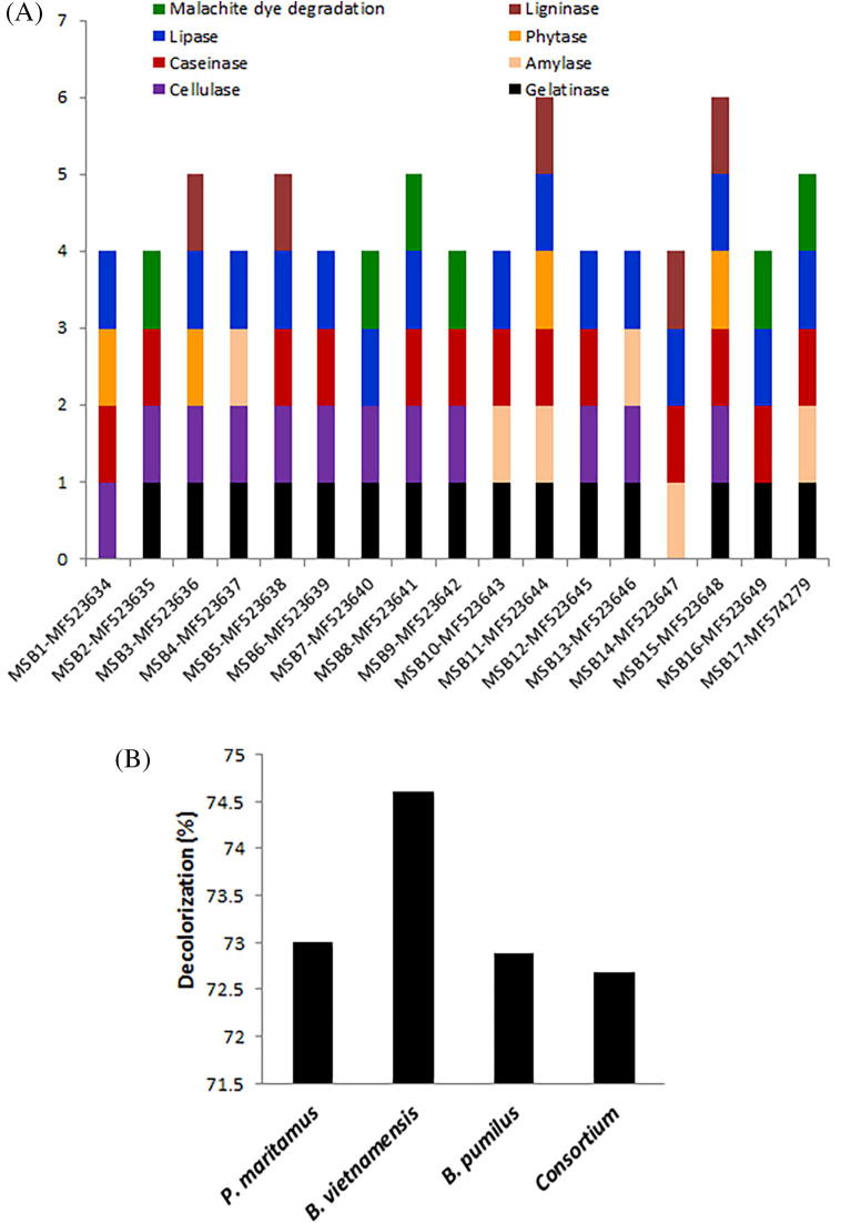 Phylogenetic diversity and biotechnological potentials of marine bacteria from continental slope of eastern Arabian Sea