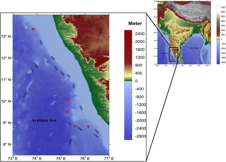 Phylogenetic diversity and biotechnological potentials of marine bacteria from continental slope of eastern Arabian Sea