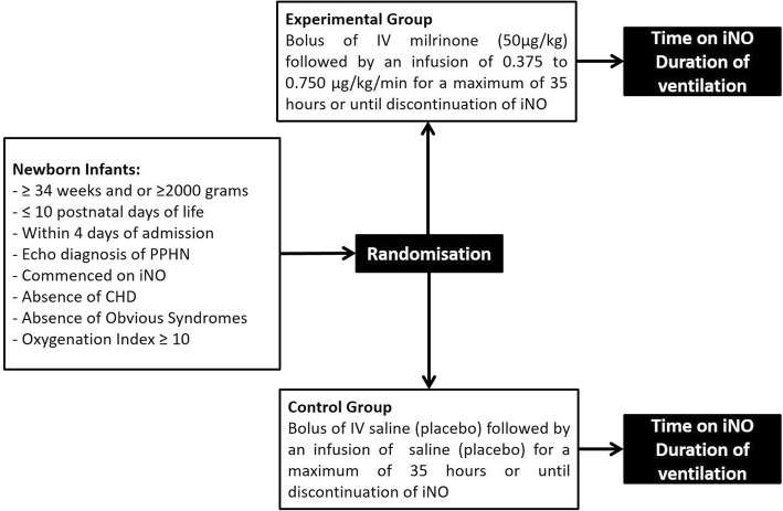 The use of milrinone in neonates with persistent pulmonary hypertension of the newborn - a randomised controlled trial pilot study (MINT 1): study protocol and review of literature.