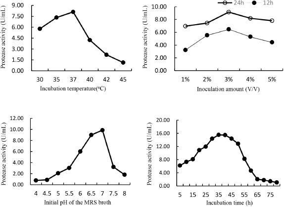 Effects of <i>Lactobacillus helveticus</i> Fermentation on the Ca<sup>2+</sup> Release and Antioxidative Properties of Sheep Bone Hydrolysate.