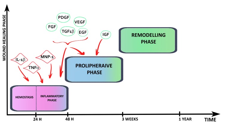 Platelet-rich plasma as a site-targeted approach in wound healing: a molecular perspective.