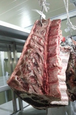 Comparison of Drying Yield, Meat Quality, Oxidation Stability and Sensory Properties of Bone-in Shell Loin Cut by Different Dry-aging Conditions.