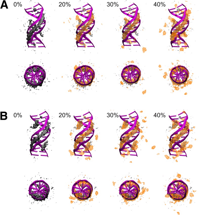 Role of protein interactions in stabilizing canonical DNA features in simulations of DNA in crowded environments.