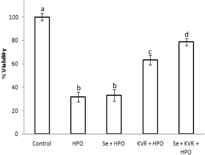 Kolaviron and selenium reduce hydrogen peroxide-induced alterations of the inflammatory response