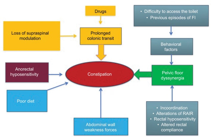 Neurogenic bowel dysfunction in patients with multiple sclerosis: prevalence, impact, and management strategies.