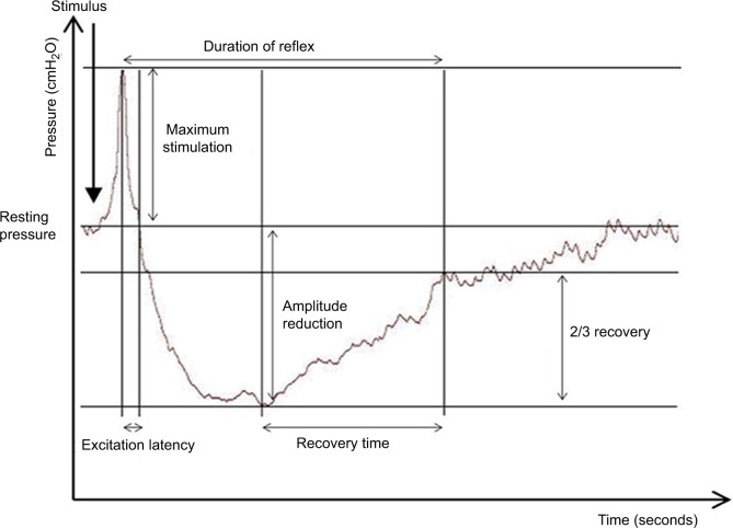 Neurogenic bowel dysfunction in patients with multiple sclerosis: prevalence, impact, and management strategies.