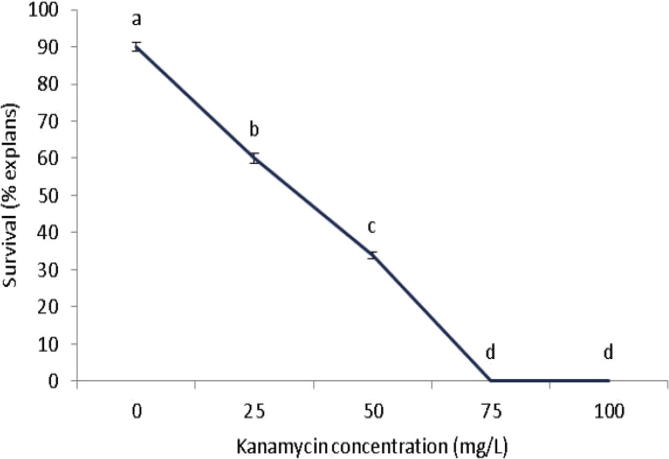 Agrobacterium tumefaciens-mediated transformation of Dendrobium lasianthera J.J.Sm: An important medicinal orchid