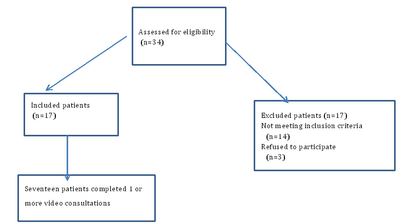 Use of Video Consultations for Patients With Hematological Diseases From a Patient Perspective: Qualitative Study.