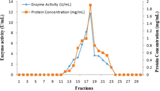 Partial purification and characterization of exoinulinase produced from Bacillus sp.