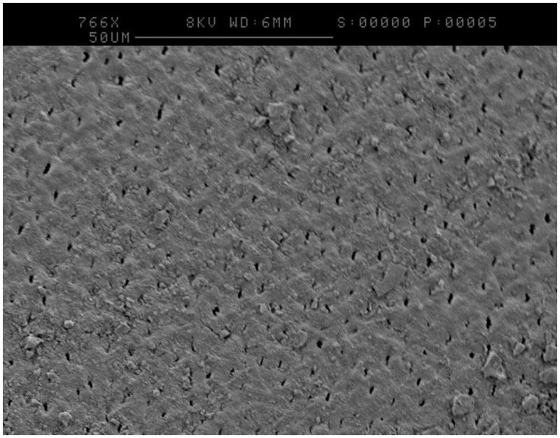 An <i>in vitro</i> model to assess effects of a desensitising agent on bacterial biofilm formation.