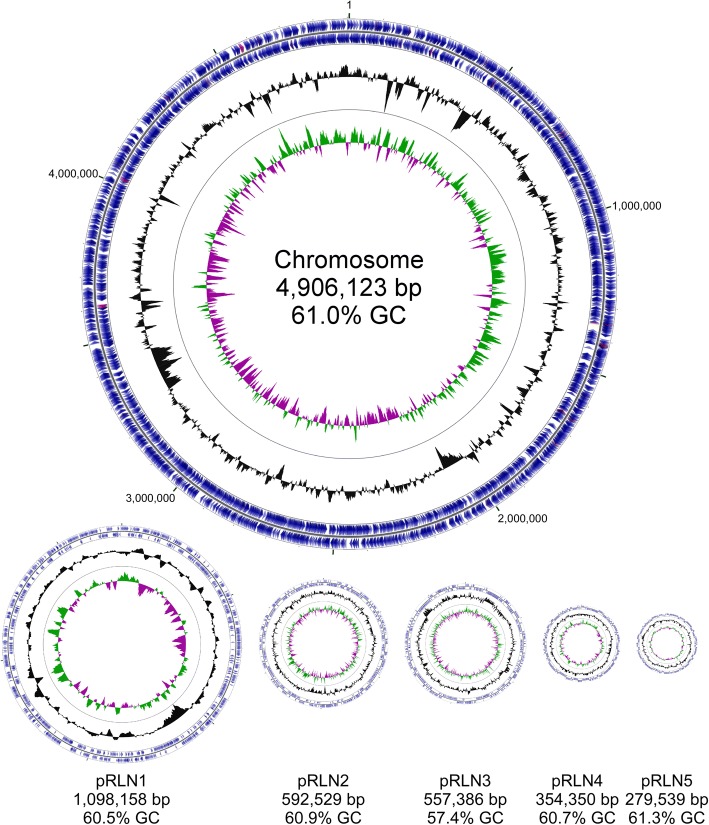 Complete genome of Rhizobium <i>leguminosarum</i> Norway, an ineffective <i>Lotus</i> micro-symbiont.