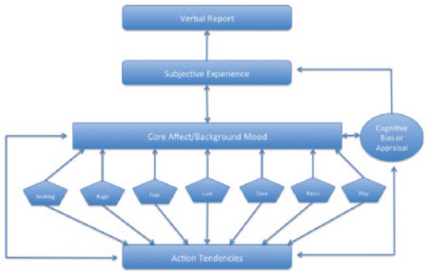 Perspectives from affective science on understanding the nature of emotion.