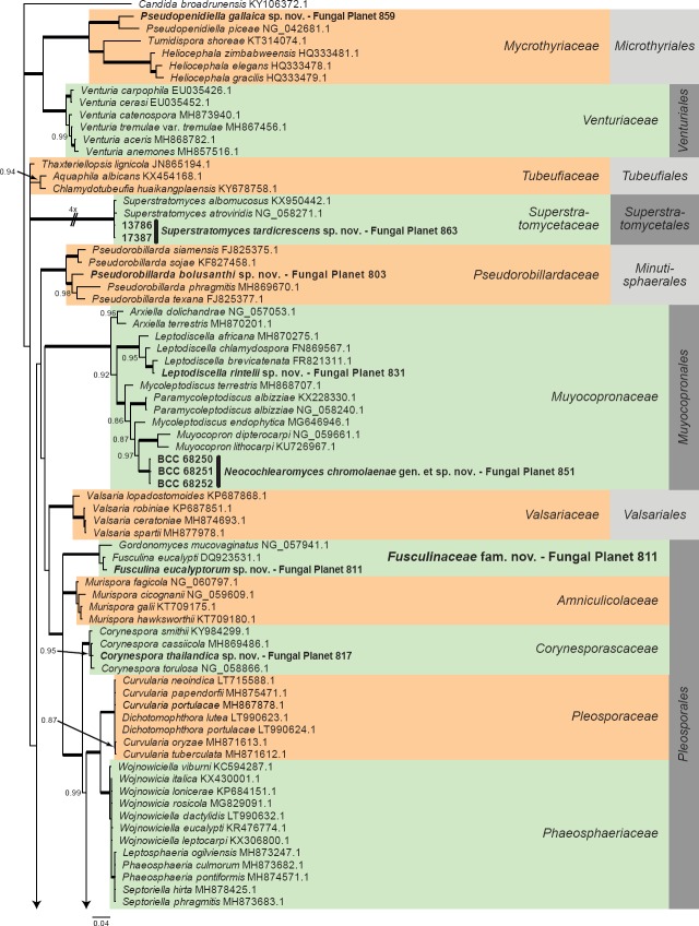 Fungal Planet description sheets: 785-867.