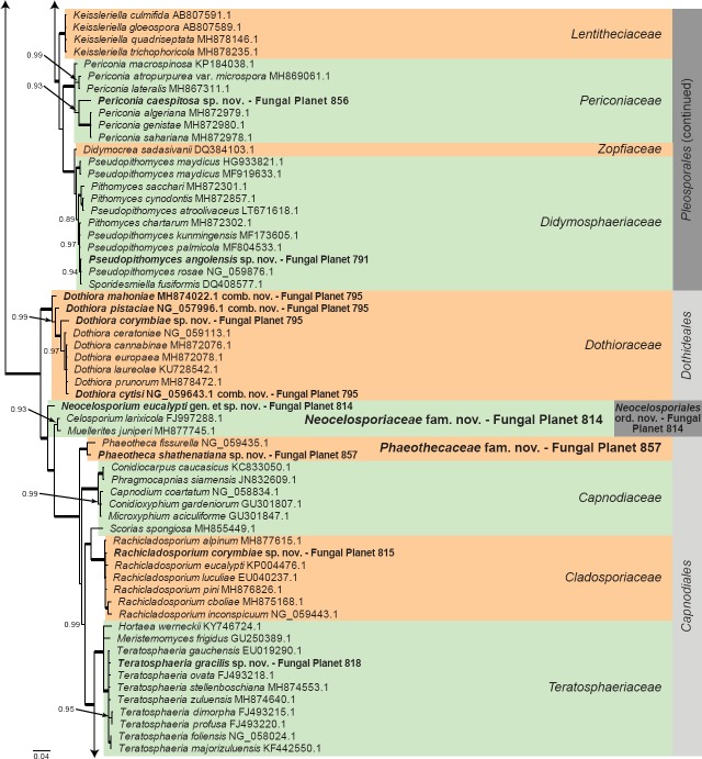 Fungal Planet description sheets: 785-867.