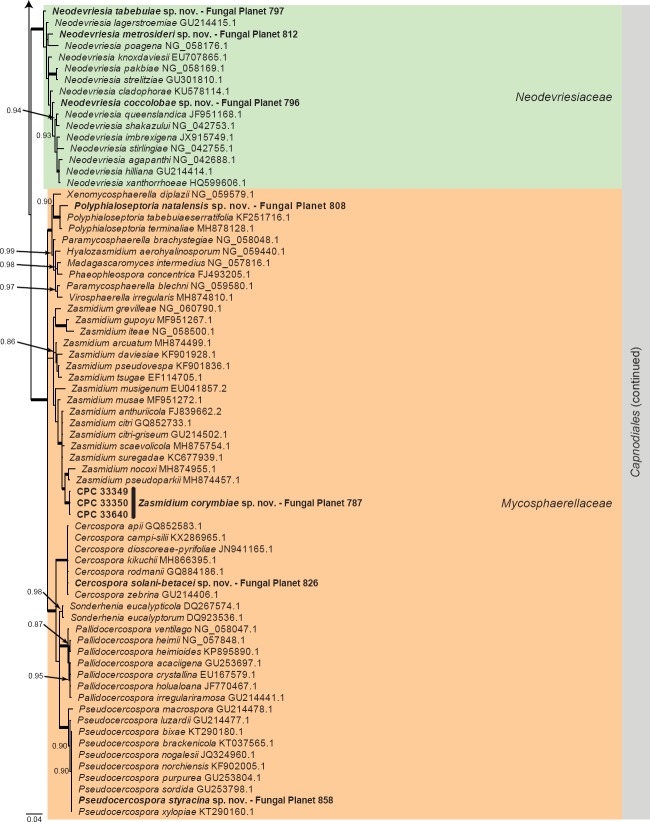 Fungal Planet description sheets: 785-867.