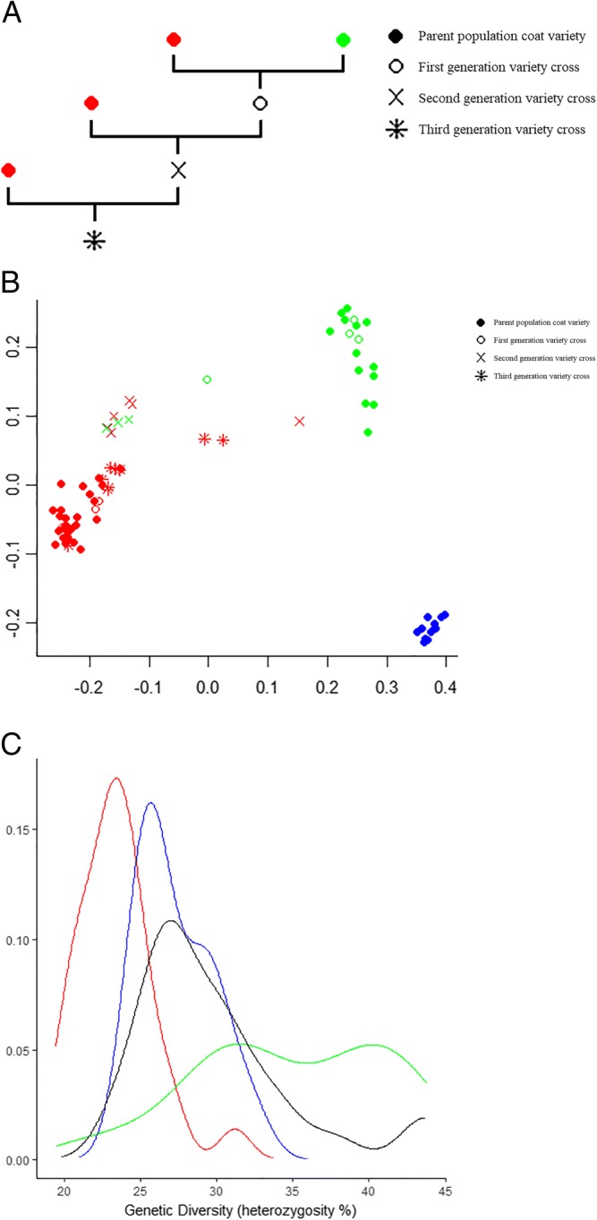 Heterozygosity testing and multiplex DNA panel screening as a potential tool to monitor health and inbreeding in a small, closed dog population.