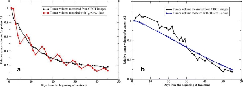 Kinetic modeling of tumor regression incorporating the concept of cancer stem-like cells for patients with locally advanced lung cancer.