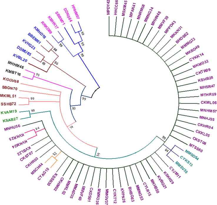 Molecular diversity of internal transcribed spacer among the monoconidial isolates of Magnaporthe oryzae isolated from rice in Southern Karnataka, India