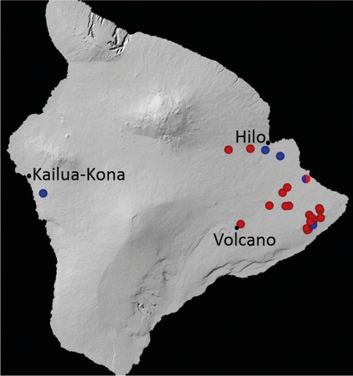 New <i>Ceratocystis</i> species associated with rapid death of <i>Metrosideros polymorpha</i> in Hawai'i.