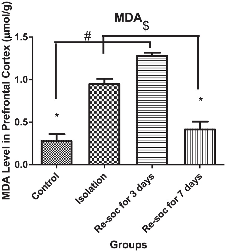 Assessment of Improvement in Oxidative Stress Indices with Resocialization in Memory Retrieval in Y-Maze in Male Rats.