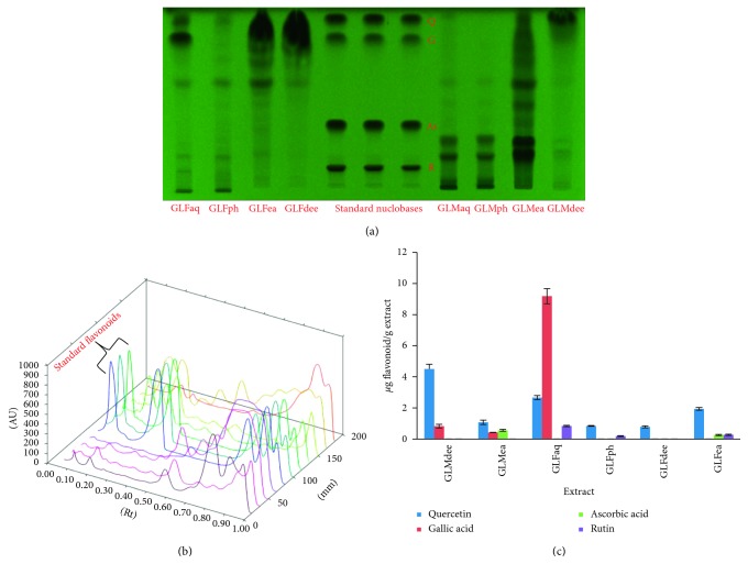 Phenolic Rich Fractions from Mycelium and Fruiting Body of <i>Ganoderma lucidum</i> Inhibit Bacterial Pathogens Mediated by Generation of Reactive Oxygen Species and Protein Leakage and Modulate Hypoxic Stress in HEK 293 Cell Line.