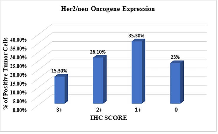 HER2 Oncogene Amplification and Immunohistochemical Profiling in Gastric Adenocarcinoma.