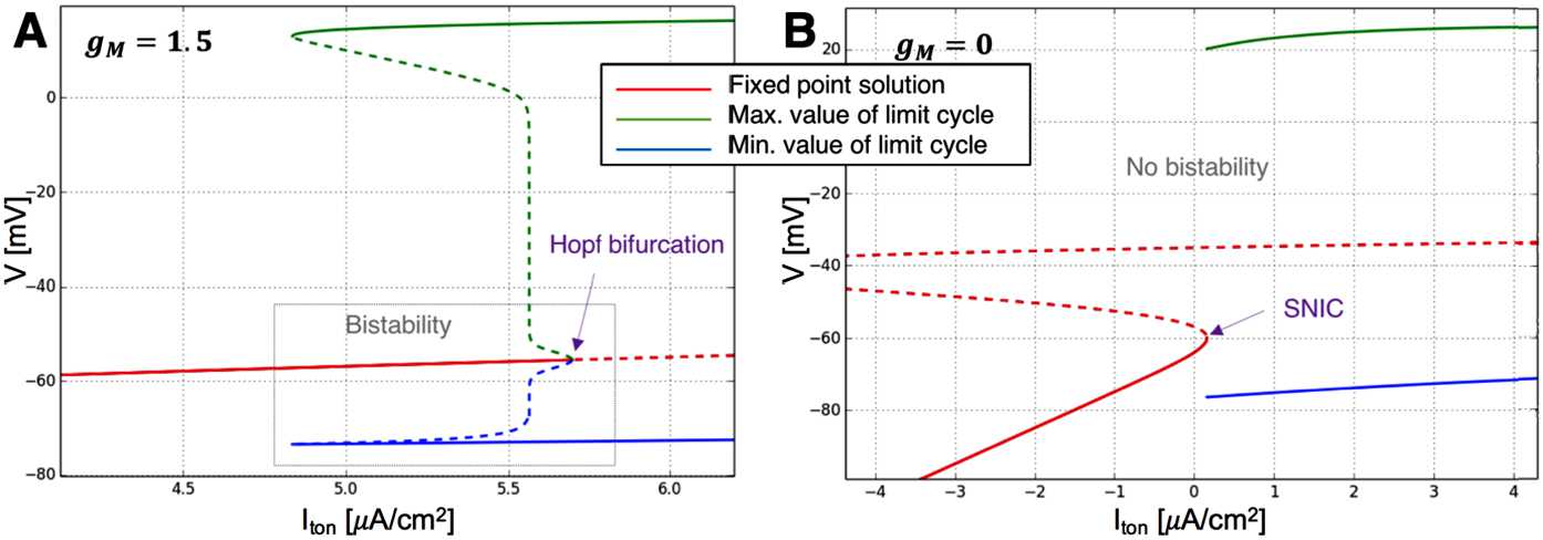 M-Current Expands the Range of Gamma Frequency Inputs to Which a Neuronal Target Entrains.