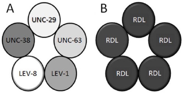 How Complex Can Resistance to Dieldrin, the Insect γ-Aminobutyric Acid Receptor, Get?