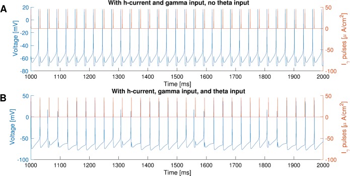 M-Current Expands the Range of Gamma Frequency Inputs to Which a Neuronal Target Entrains.