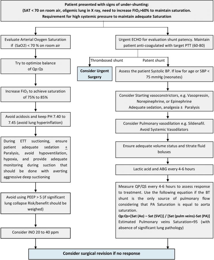 Effects of protocol-based management on the post-operative outcome after systemic to pulmonary shunt